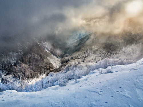 Du vignoble aux chaumes d'Alsace